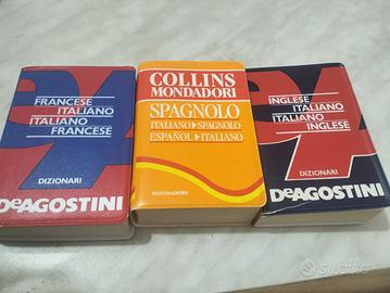 dizionario tascabile 
