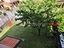 Immagine 28