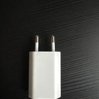 Apple - cavo e caricabatterie originali