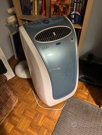 Pinguino igloo carrier