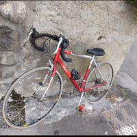 bici da corsa  bitwin 