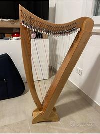 Arpa 16 corde con leve