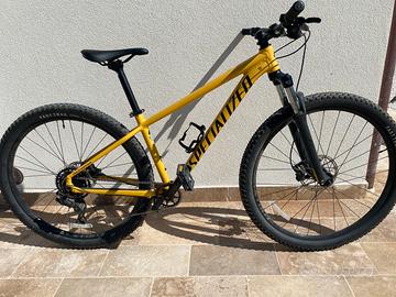 Mountain Bike specialized