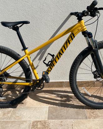 Mountain Bike specialized