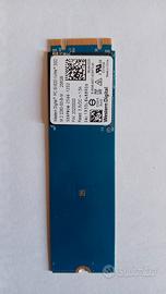 SSD Western Digital NVMe 256GB