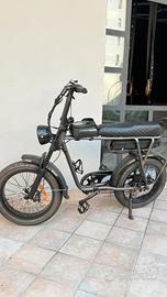 Fat bike mai usata 700€