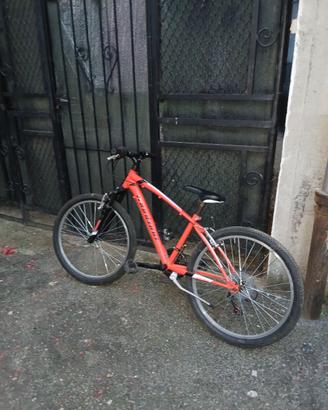 mtb montana 24