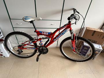 Biciclette MOUNTEIN BIKE