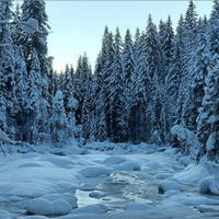 Last minute sett dal 7 al 14 Febbraio Olimpiadi