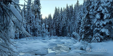 Last minute sett dal 7 al 14 Febbraio Olimpiadi