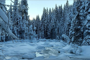 Last minute sett dal 7 al 14 Febbraio Olimpiadi