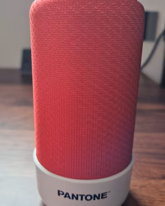 Speaker wireless Pantone