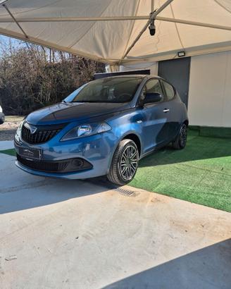 Lancia Y MY 24 PLATINO