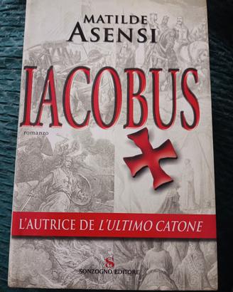 libri Matilde Asensi 
