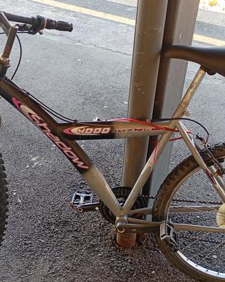 bicicletta Mountain bike 30€