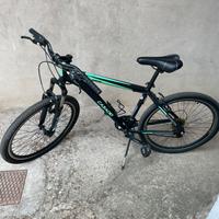 Bici casadei adulti