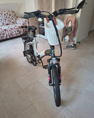 Bici elettrica