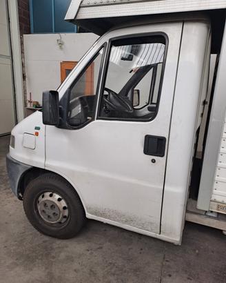 camion usato