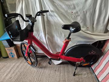Bici muscolare Mobike con ruote da 24"