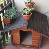 Cuccia in legno grande per cani
