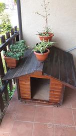 Cuccia in legno grande per cani