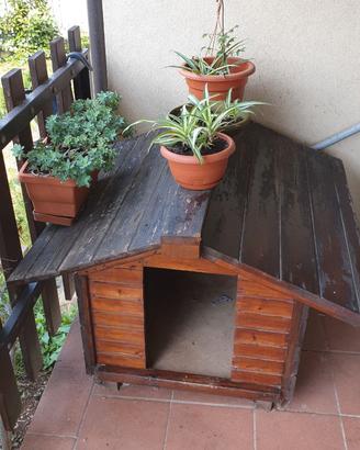 Cuccia in legno grande per cani