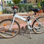 Bicicletta storica "PININFARINA"