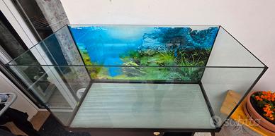 acquario 