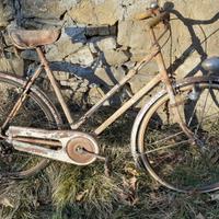 bicicletta wolsit donna modello sport 