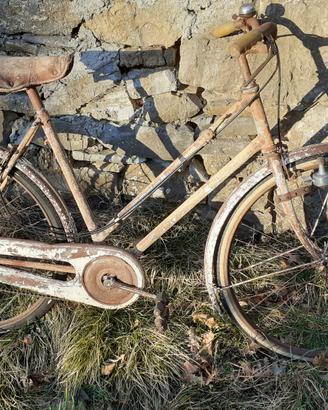 bicicletta wolsit donna modello sport 