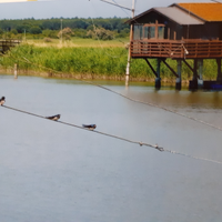 Capanno da pesca " padlòn/blanzòn torrente Bevano