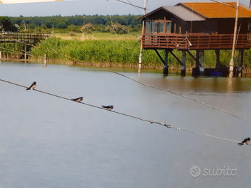 Capanno da pesca " padlòn/blanzòn torrente Bevano