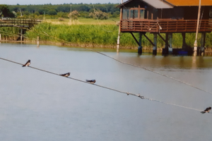 Capanno da pesca " padlòn/blanzòn torrente Bevano