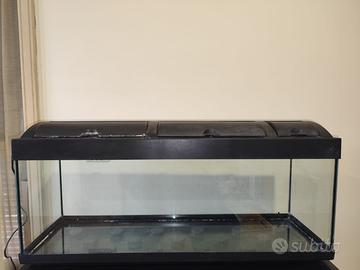 ACQUARIO ACQUA DOLCE 100 LITRI, COMPLETO DI TUTTO