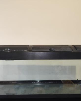 ACQUARIO ACQUA DOLCE 100 LITRI, COMPLETO DI TUTTO