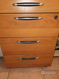 CASSETTIUERE DELLA ROVERE