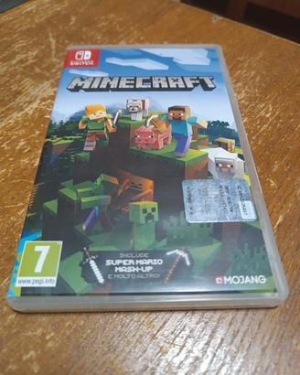 Minecraft Nintendo switch 