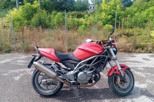 Raptor 650