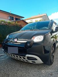 Pandina 1.0 Hybrid