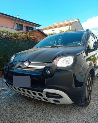 Pandina 1.0 Hybrid