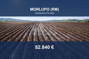 Immobile in asta di 30 m² a Morlupo