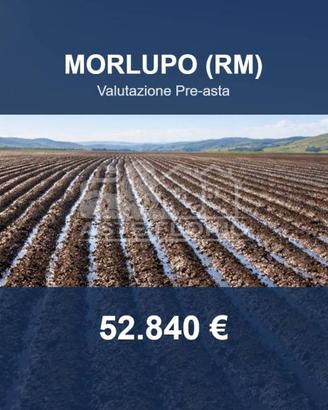 Immobile in asta di 30 m² a Morlupo