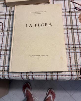 libri
