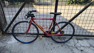 bicicletta