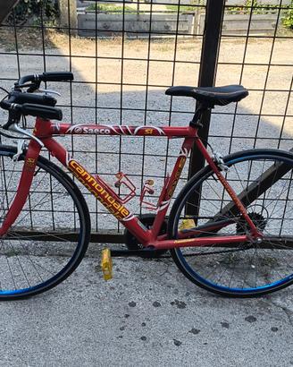 bicicletta