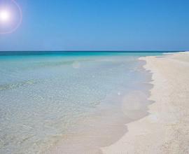 Accesso diretto alla spiaggia : Relax sole e mare