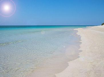 Accesso diretto alla spiaggia : Relax sole e mare