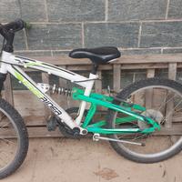 bicicletta mountain bike 