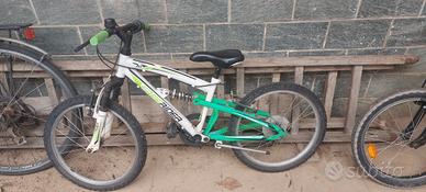 bicicletta mountain bike 