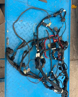 CABLAGGIO R6 2018 yec